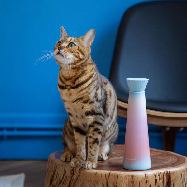 Quel cadeau été fille 2024 ?