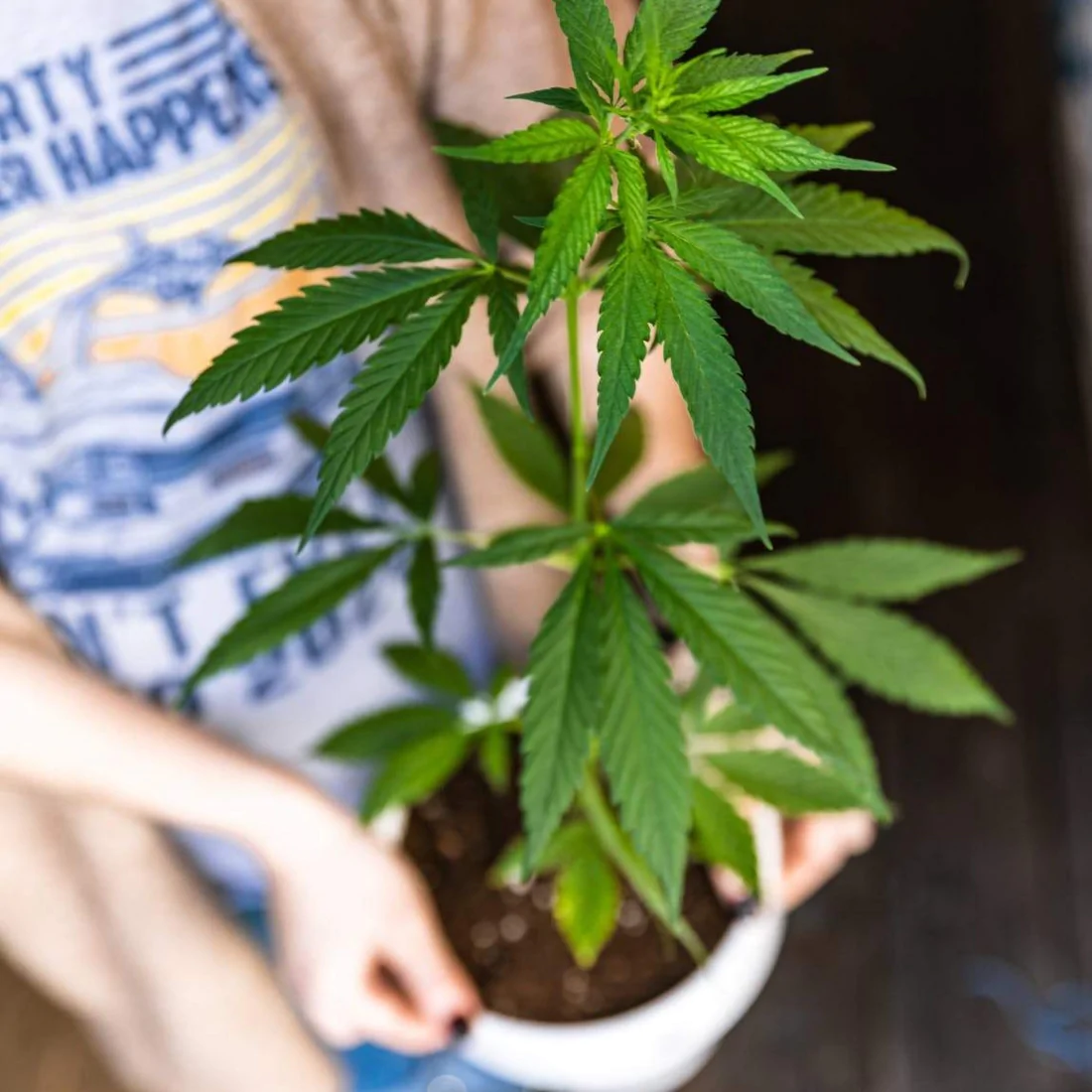 5 idĂ©es cadeaux pour quelqu'un qui a la main verte đż