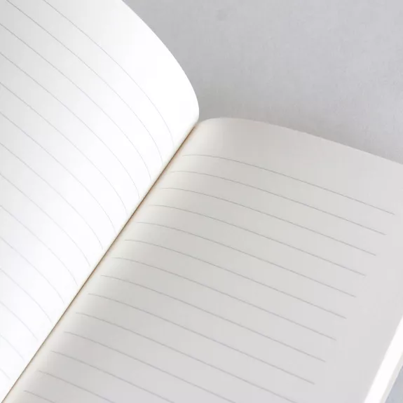 Petit carnet Palm Spring avec motif tropical vibrant.