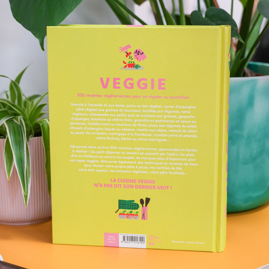 Livre de recettes végétariennes avec une couverture colorée.