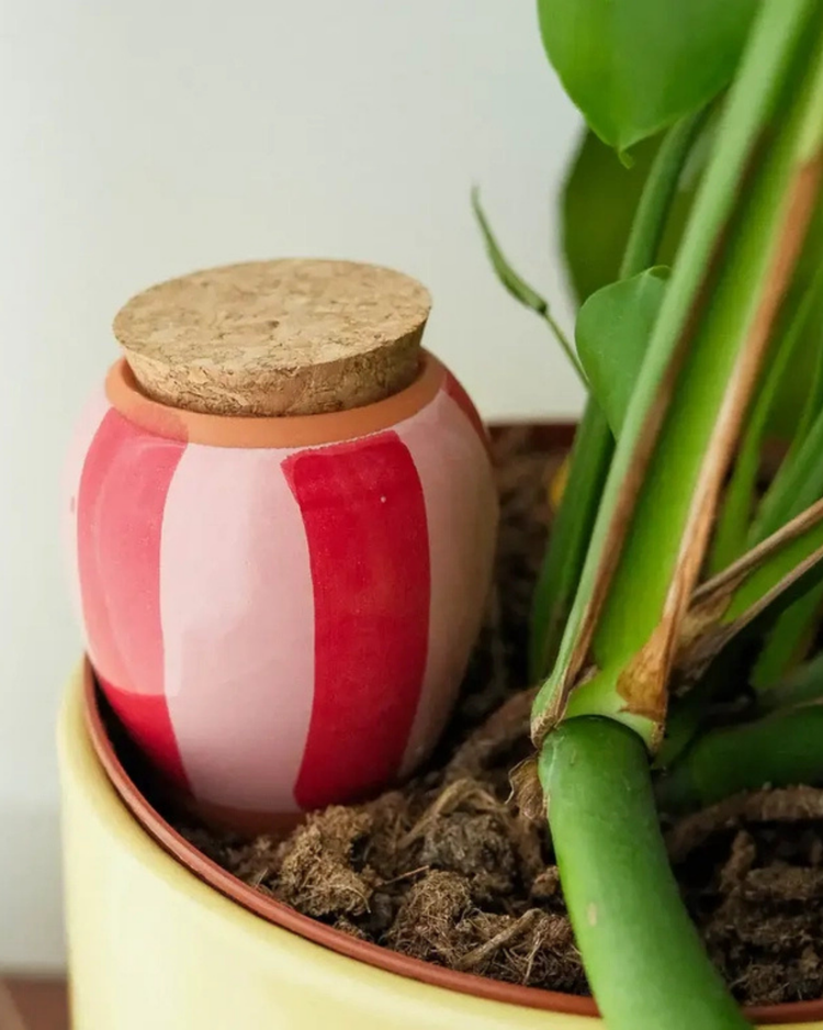 Diffuseur d'eau en terre cuite avec motifs roses et rouges