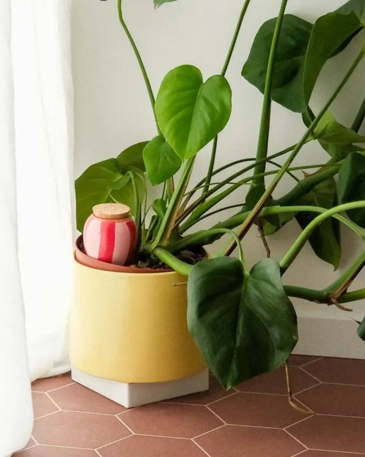 Diffuseur d'eau en terre cuite avec motifs roses et rouges