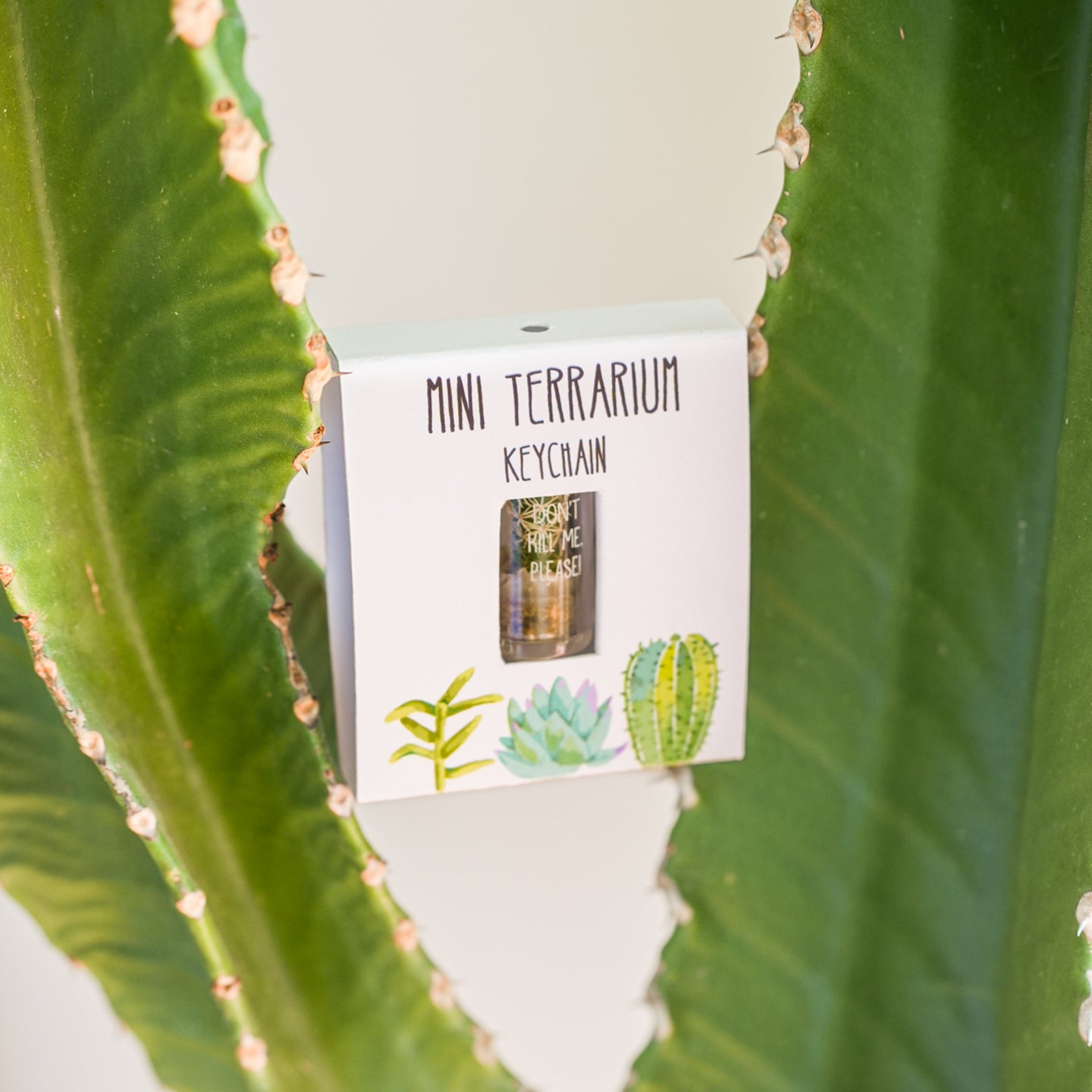 Cactus miniature en terrarium, accroché à un porte-clé.