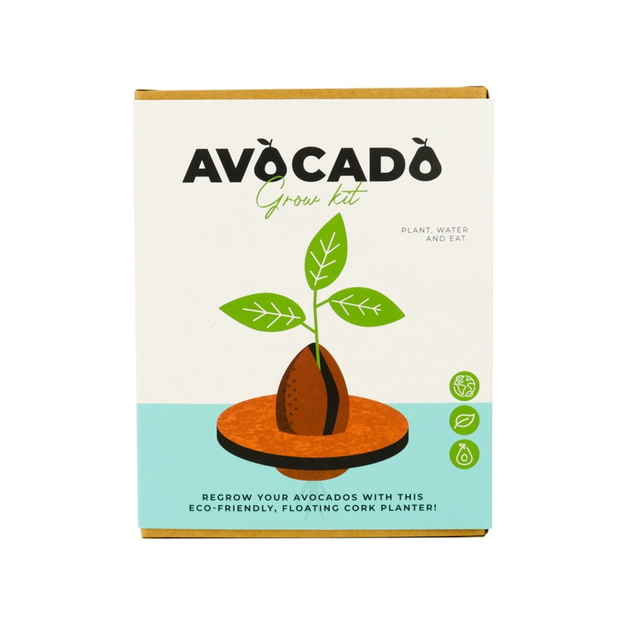 Jardinière flottante en liège avec noyau d'avocat en germination