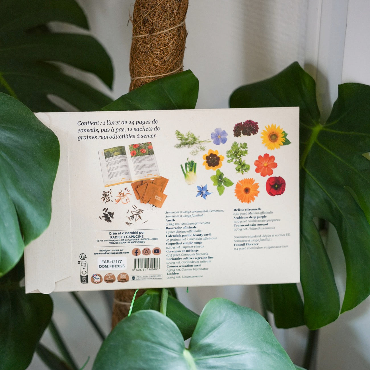 Sachets de graines de fleurs à papillon sur fond naturel