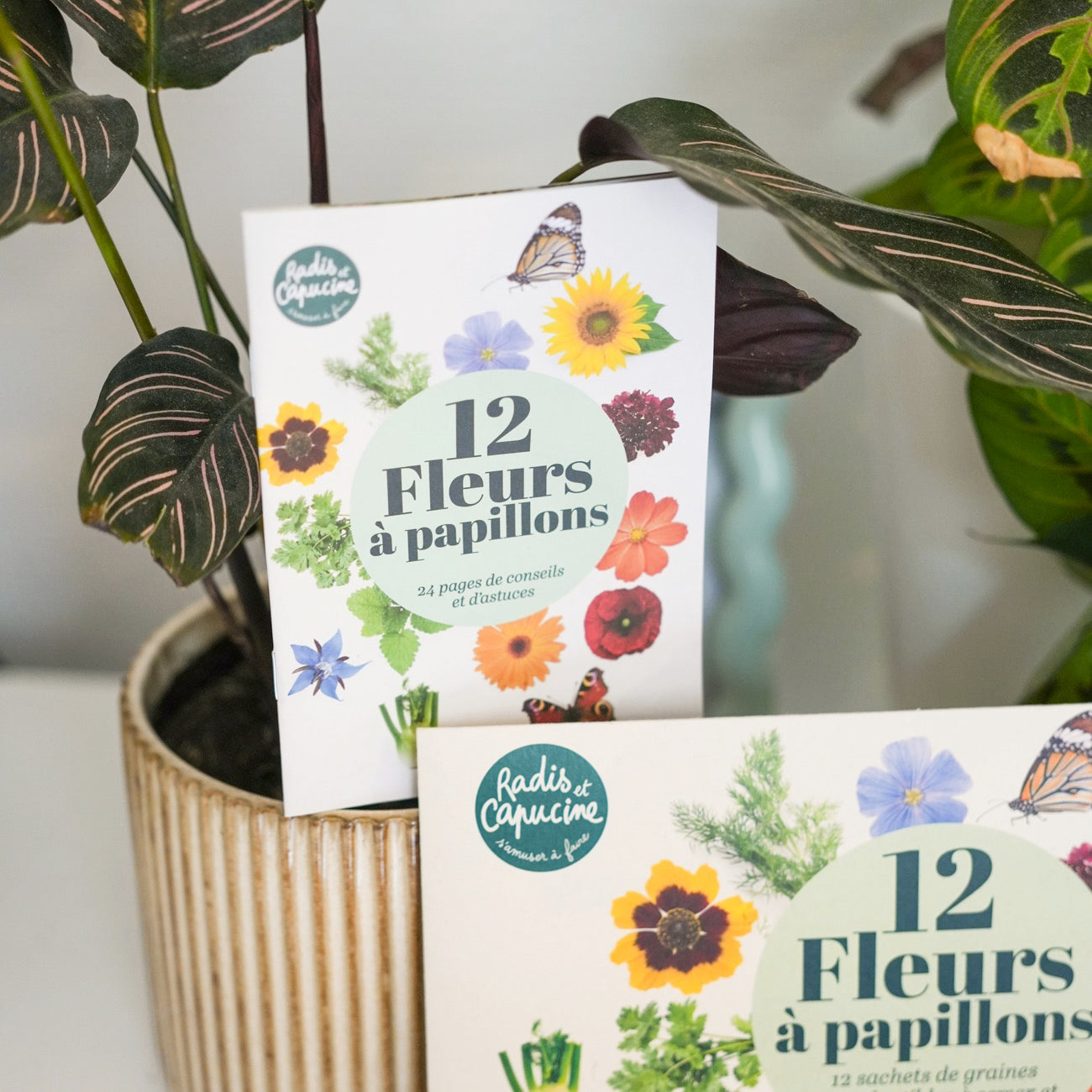 Sachets de graines de fleurs à papillon sur fond naturel