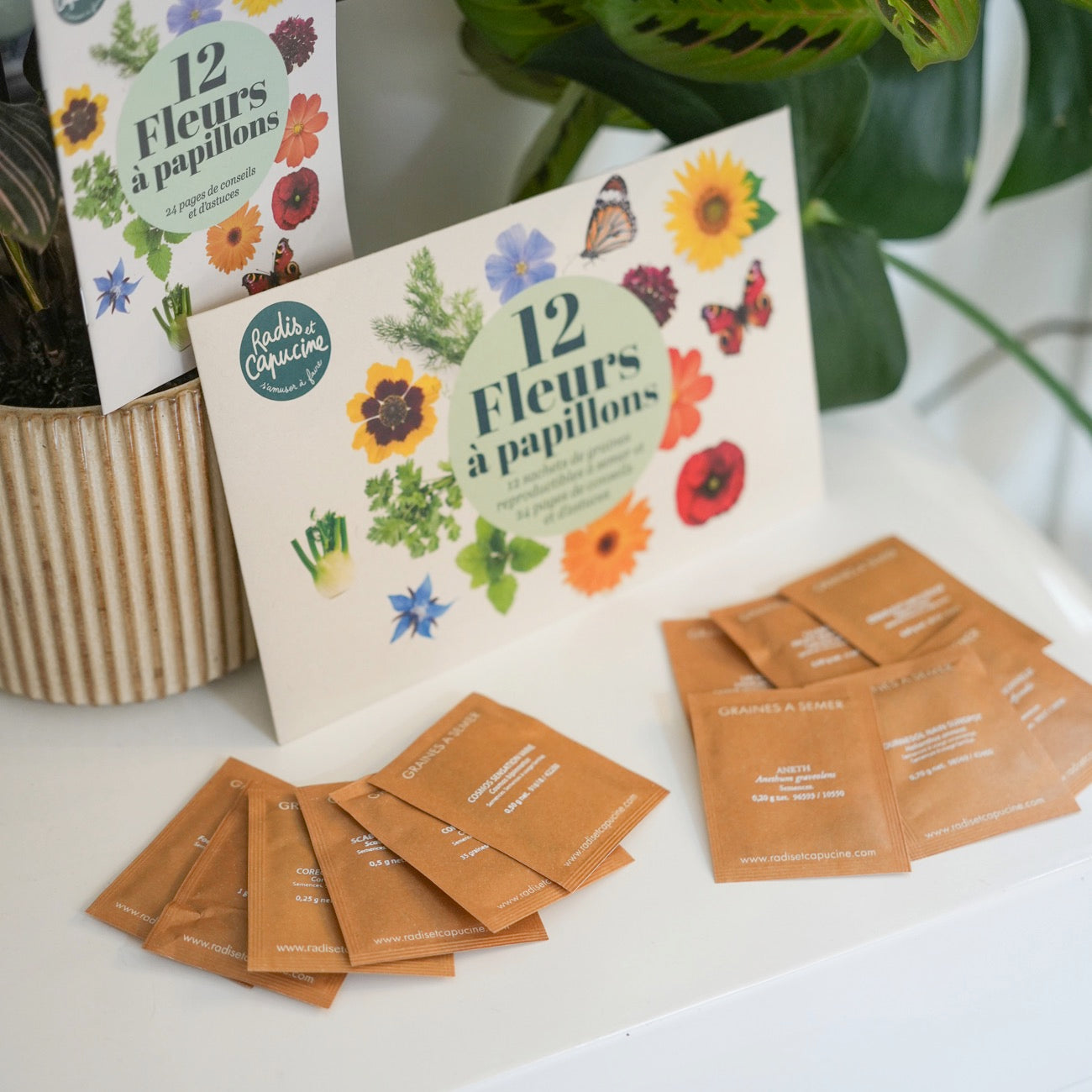 Sachets de graines de fleurs à papillon sur fond naturel