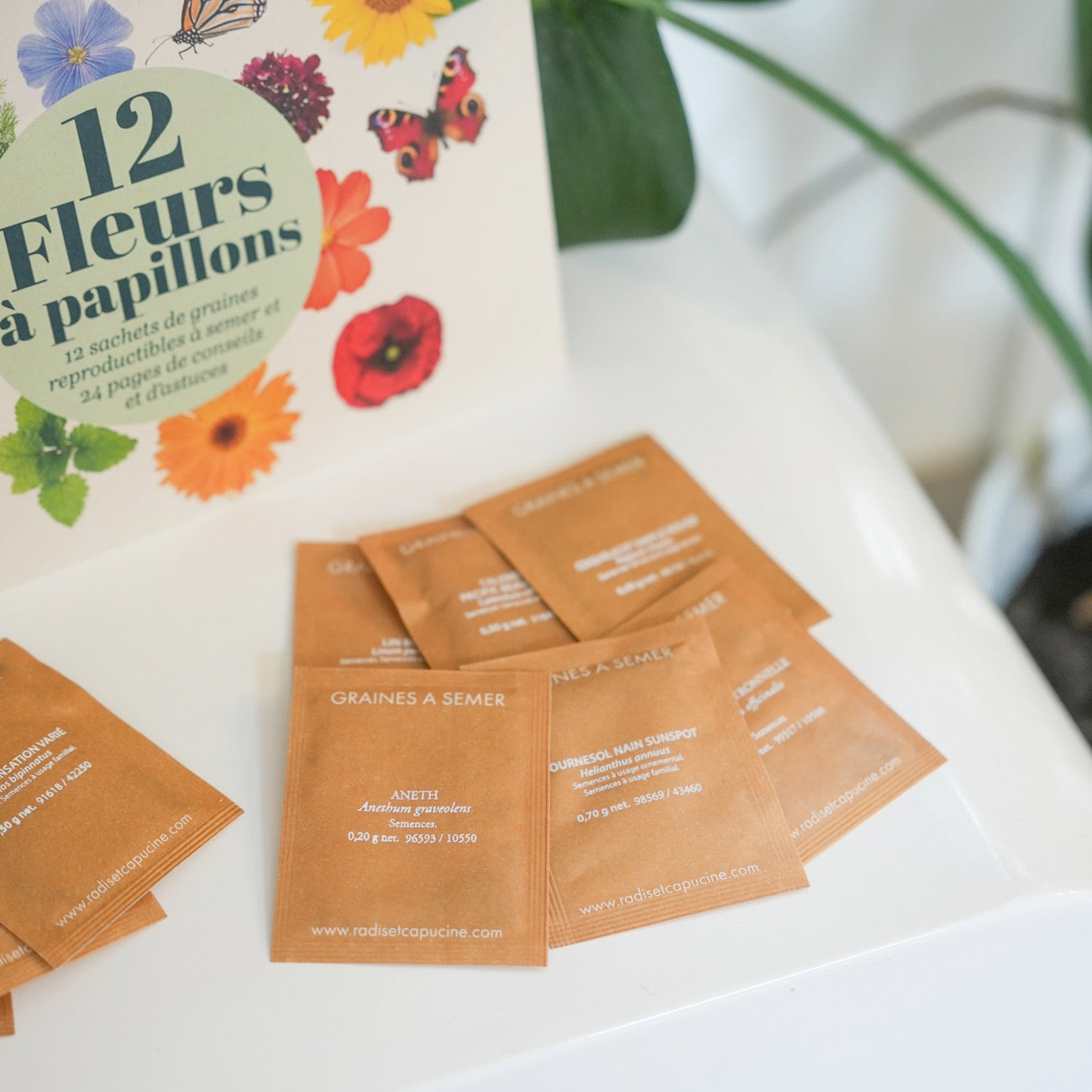 Sachets de graines de fleurs à papillon sur fond naturel