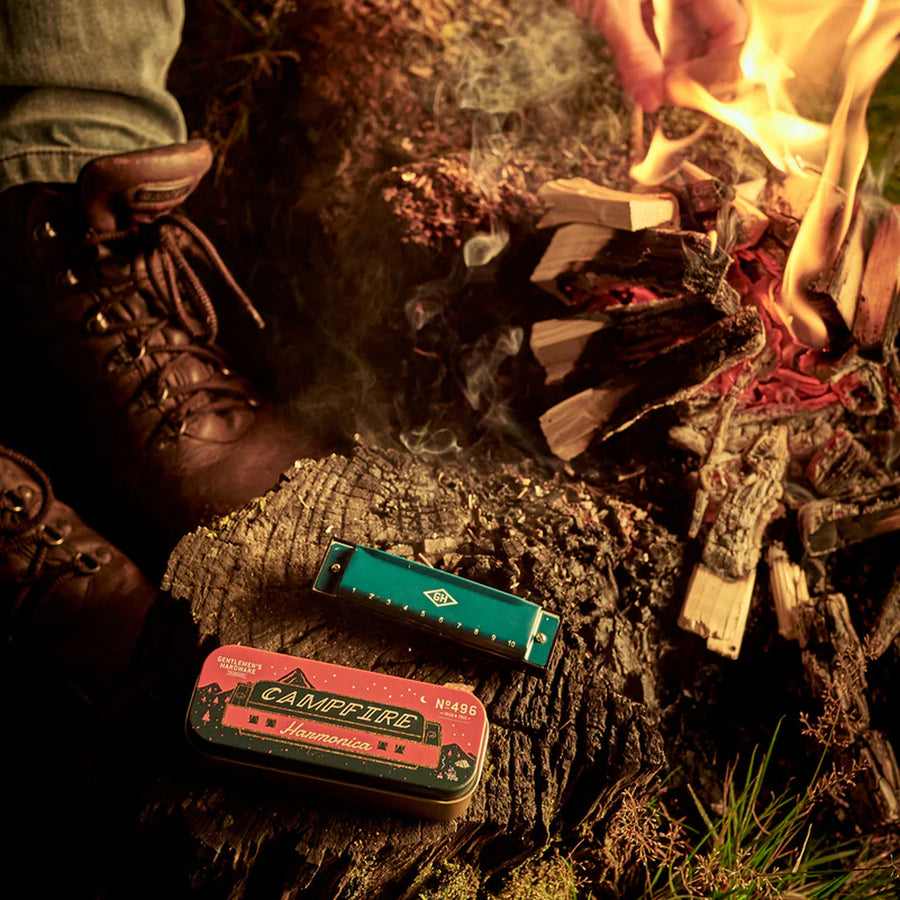 Harmonica de camping avec finition métallique brillante