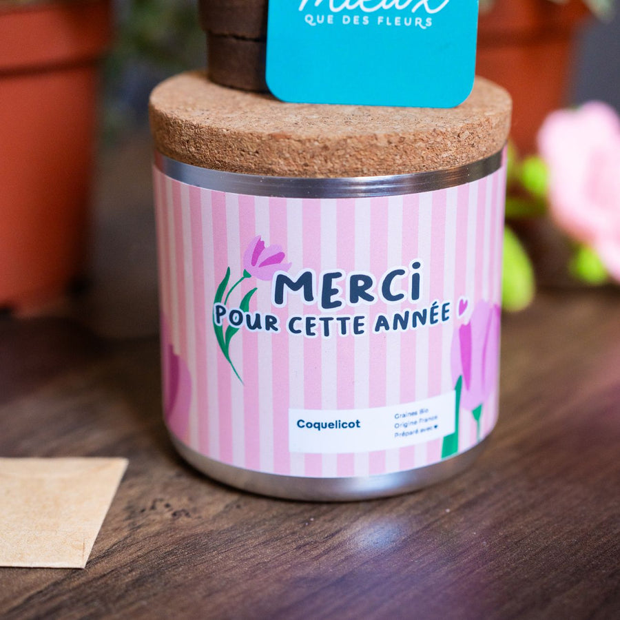 Kit à planter avec coquelicots, vue de dessus sur les graines.