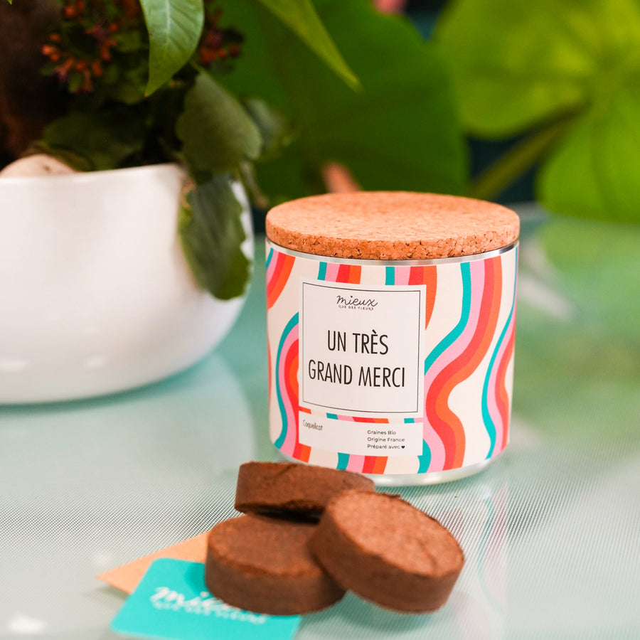 Kit à planter avec message et palet déshydraté visible