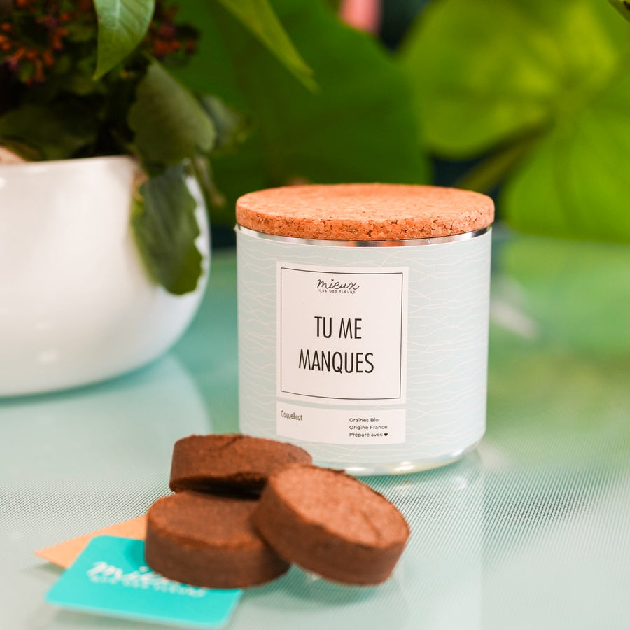 Kit à planter avec message et palet déshydraté visible