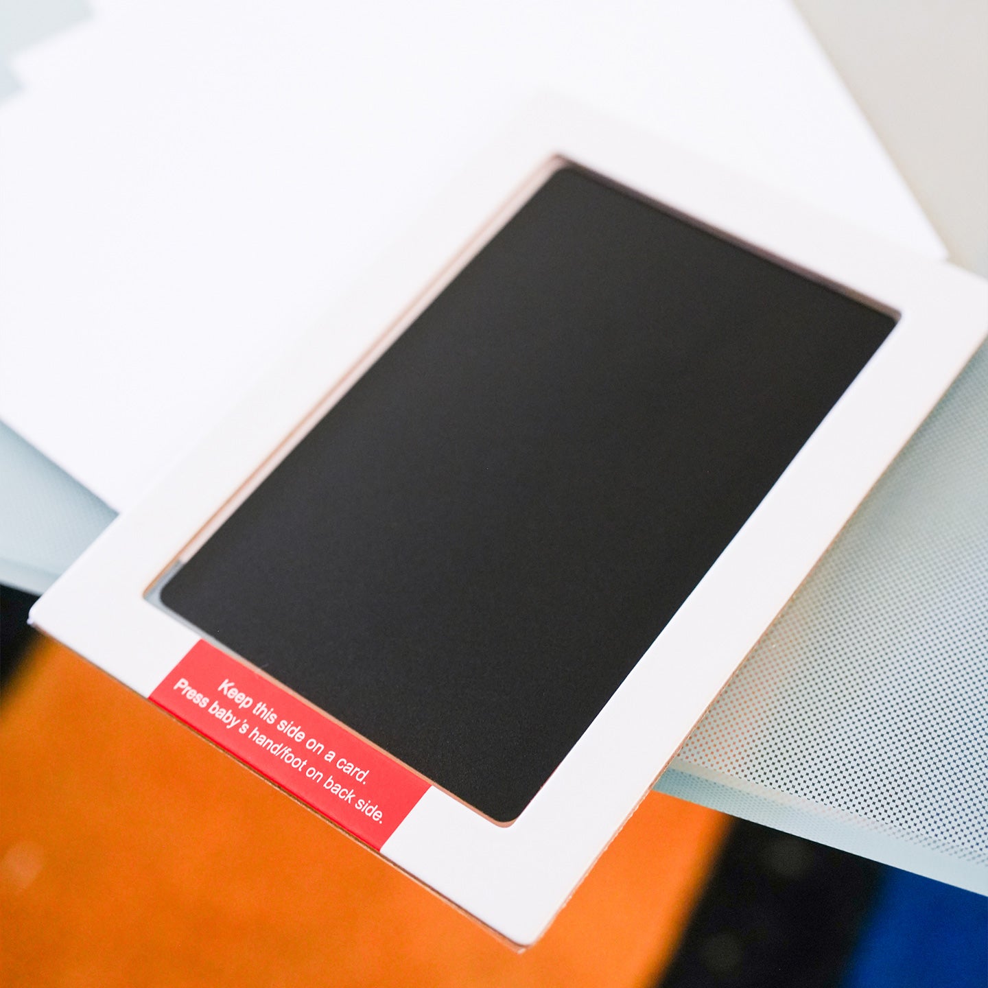 Kit d'empreinte pour animaux avec empreintes détaillées