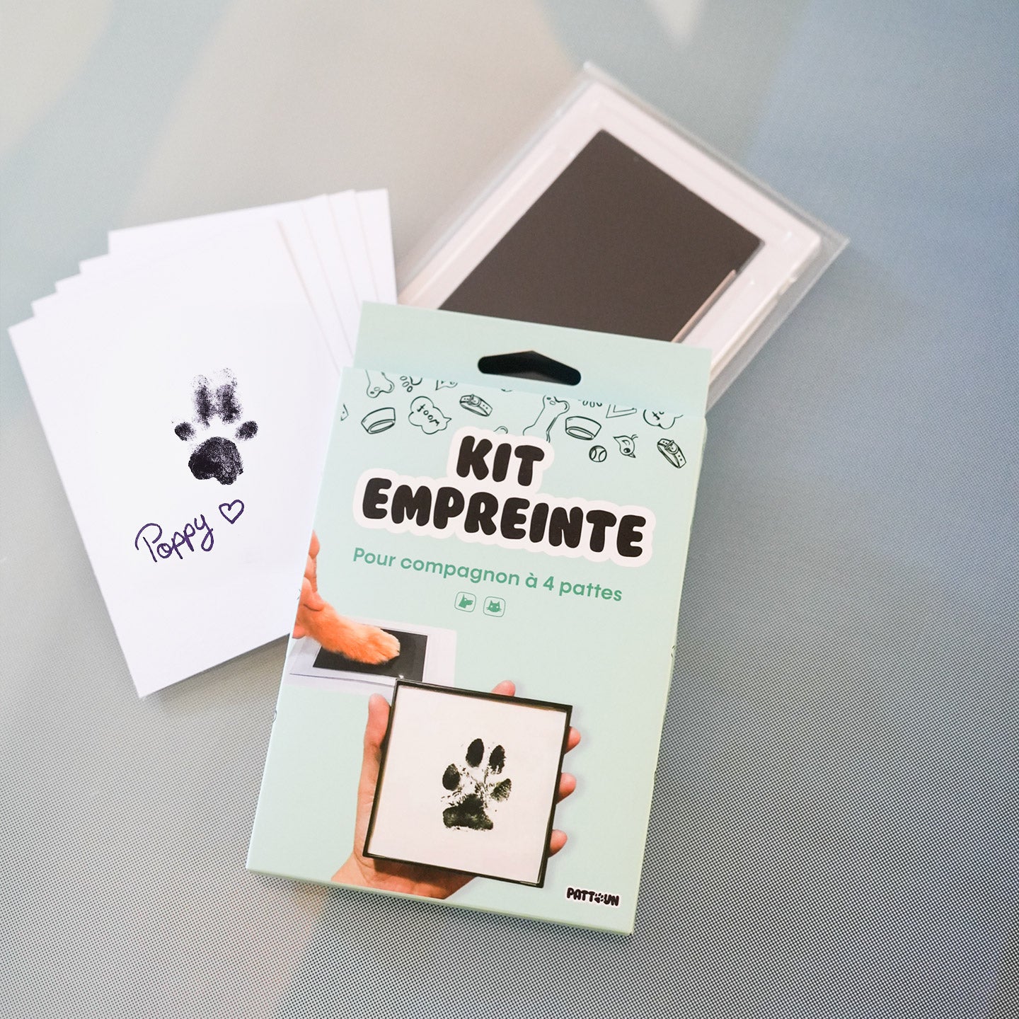 Kit d'empreintes de pattes de chat et de chien avec argile, kit d