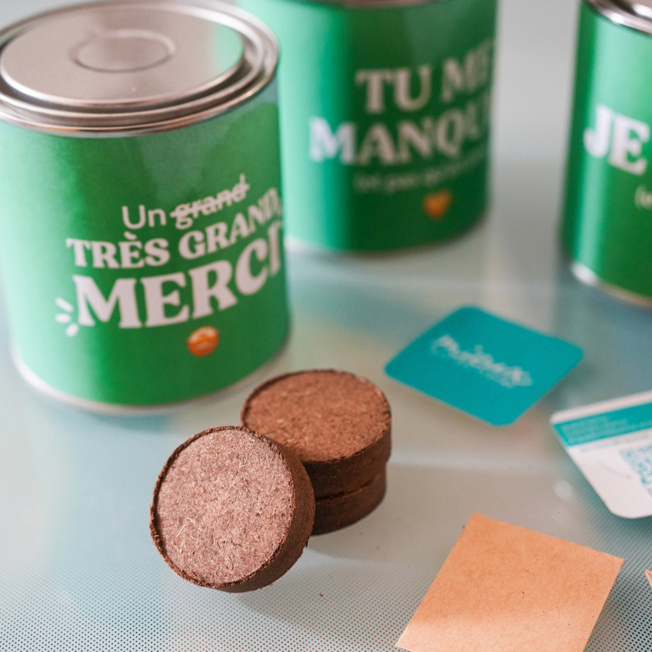 Kit à planter avec message - Mieux Que Des Fleurs - 3