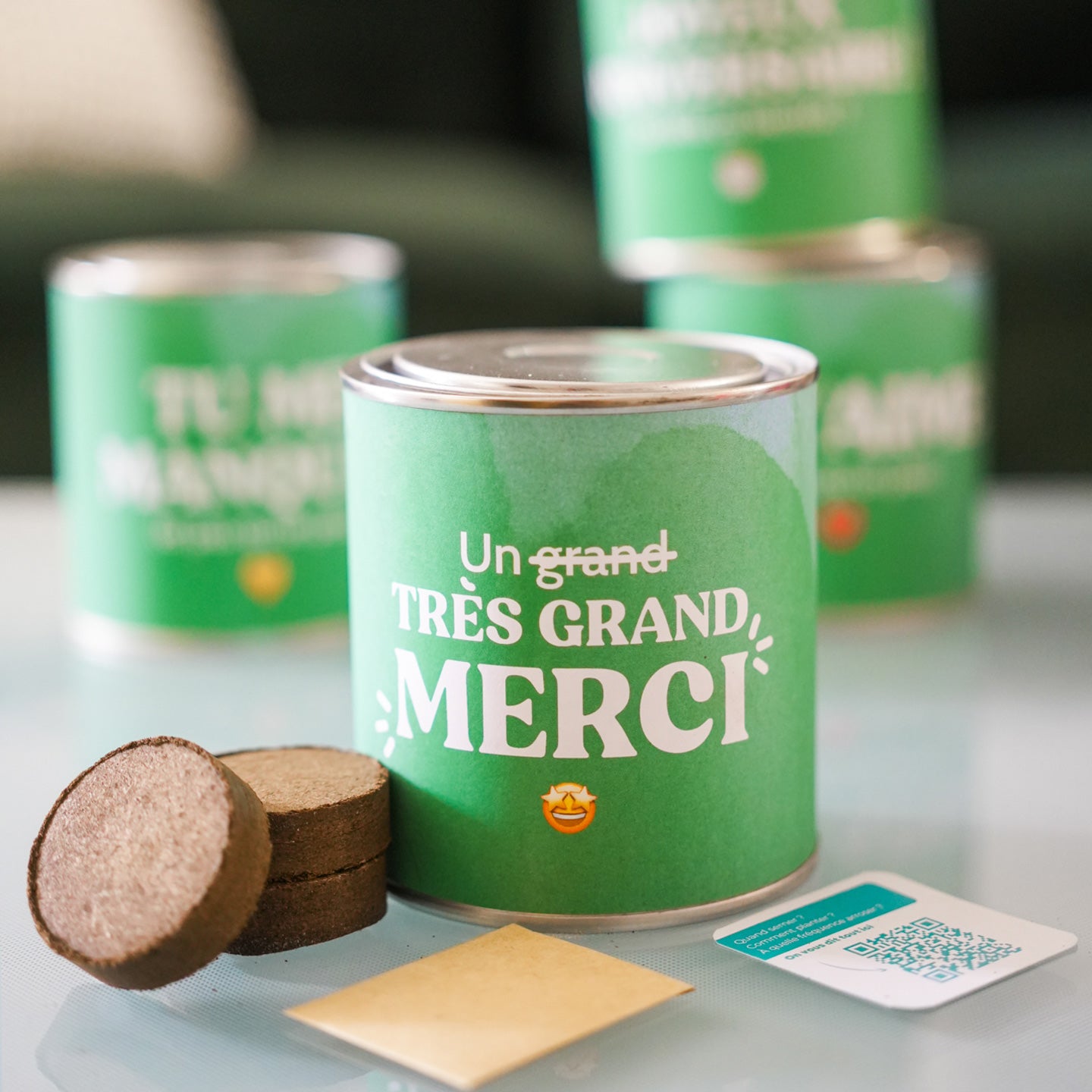 Kit à planter avec message - Mieux Que Des Fleurs - 5