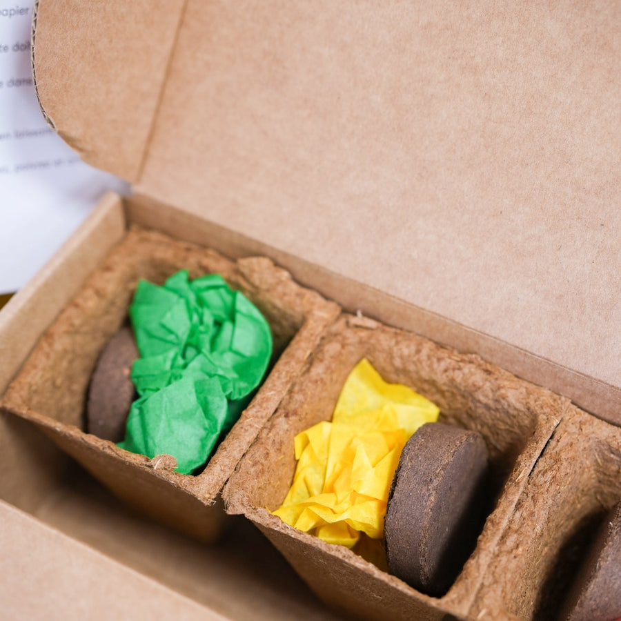 Kit de plantation avec pots en terre cuite et étiquettes en bois.