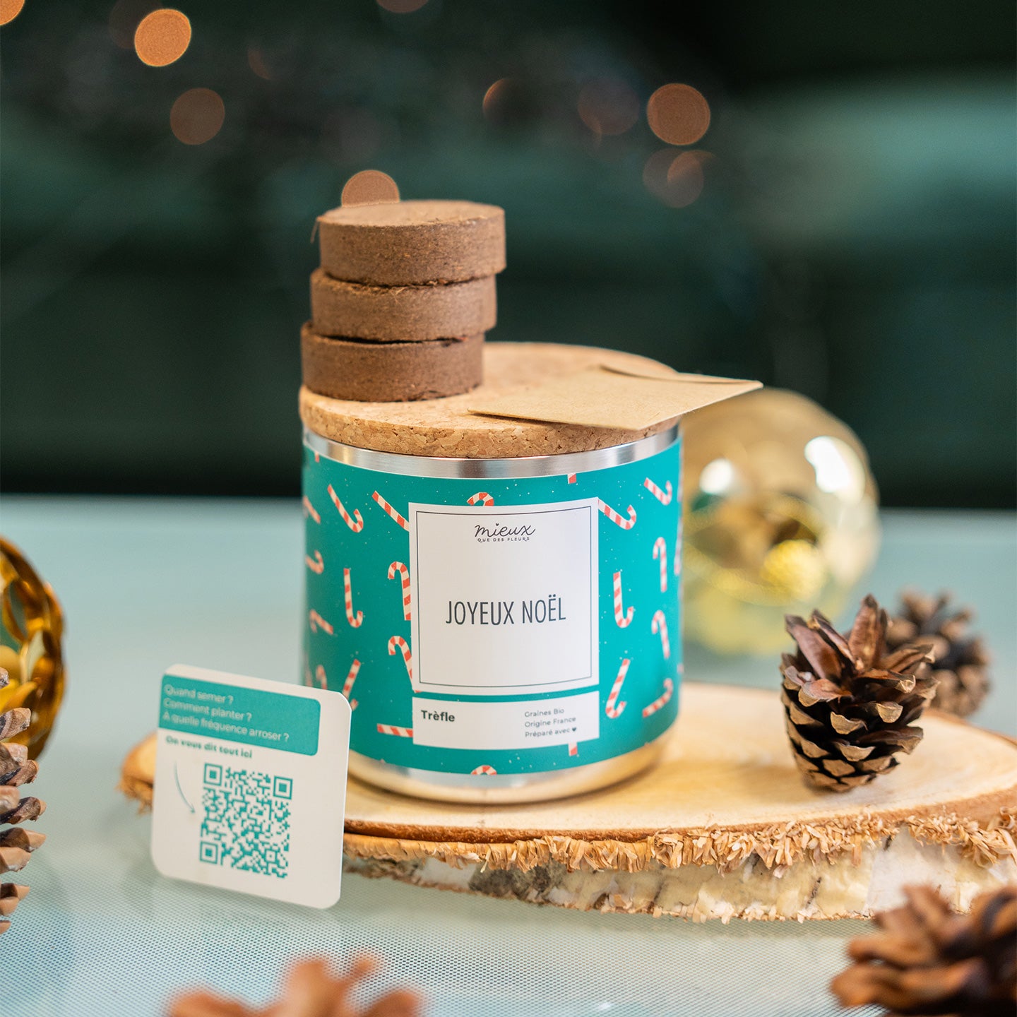 Kit à planter Joyeux Noël avec graines de trèfle en gros plan.