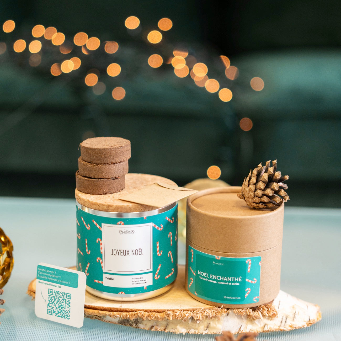 Kit à planter Joyeux Noël avec graines de trèfle en gros plan.