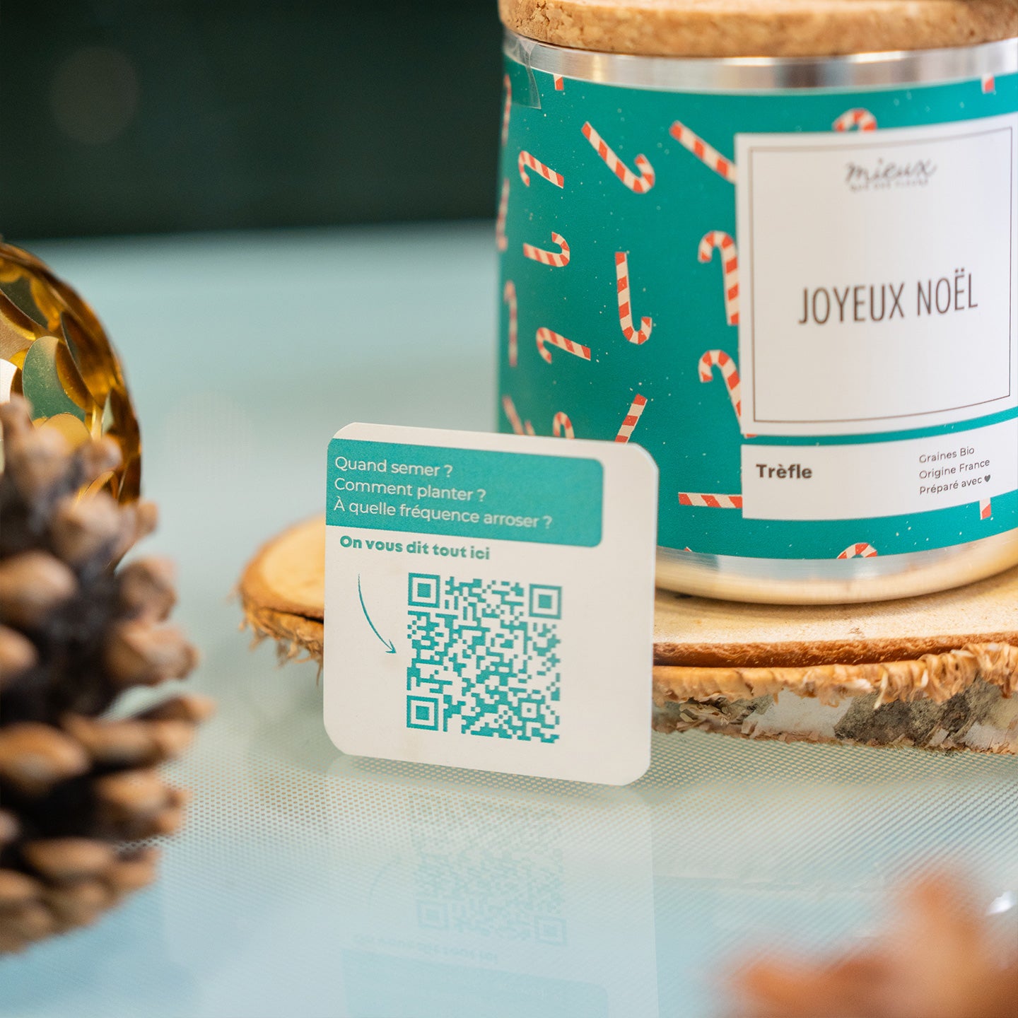 Kit à planter Joyeux Noël avec graines de trèfle en gros plan.