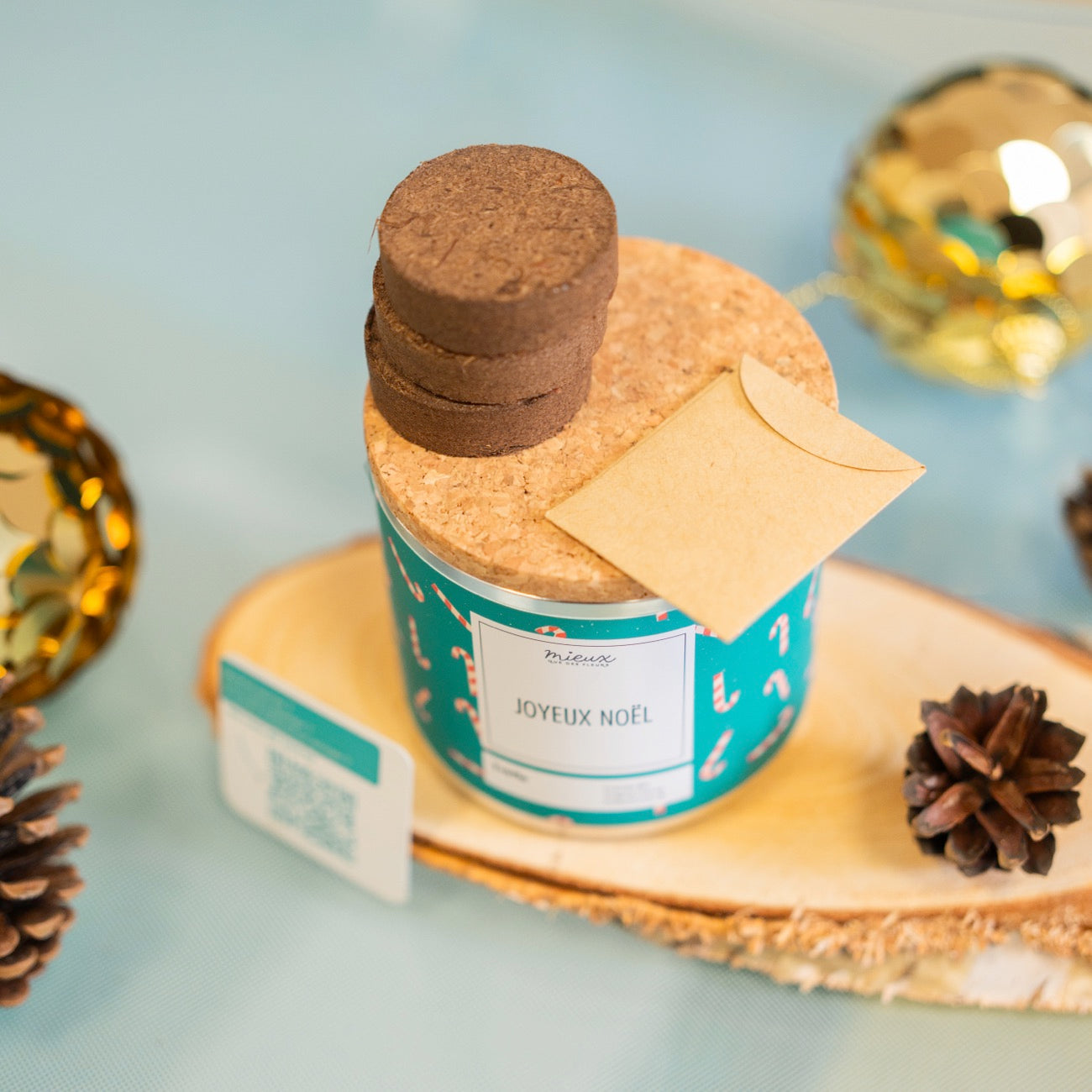 Kit à planter Joyeux Noël avec graines de trèfle en gros plan.