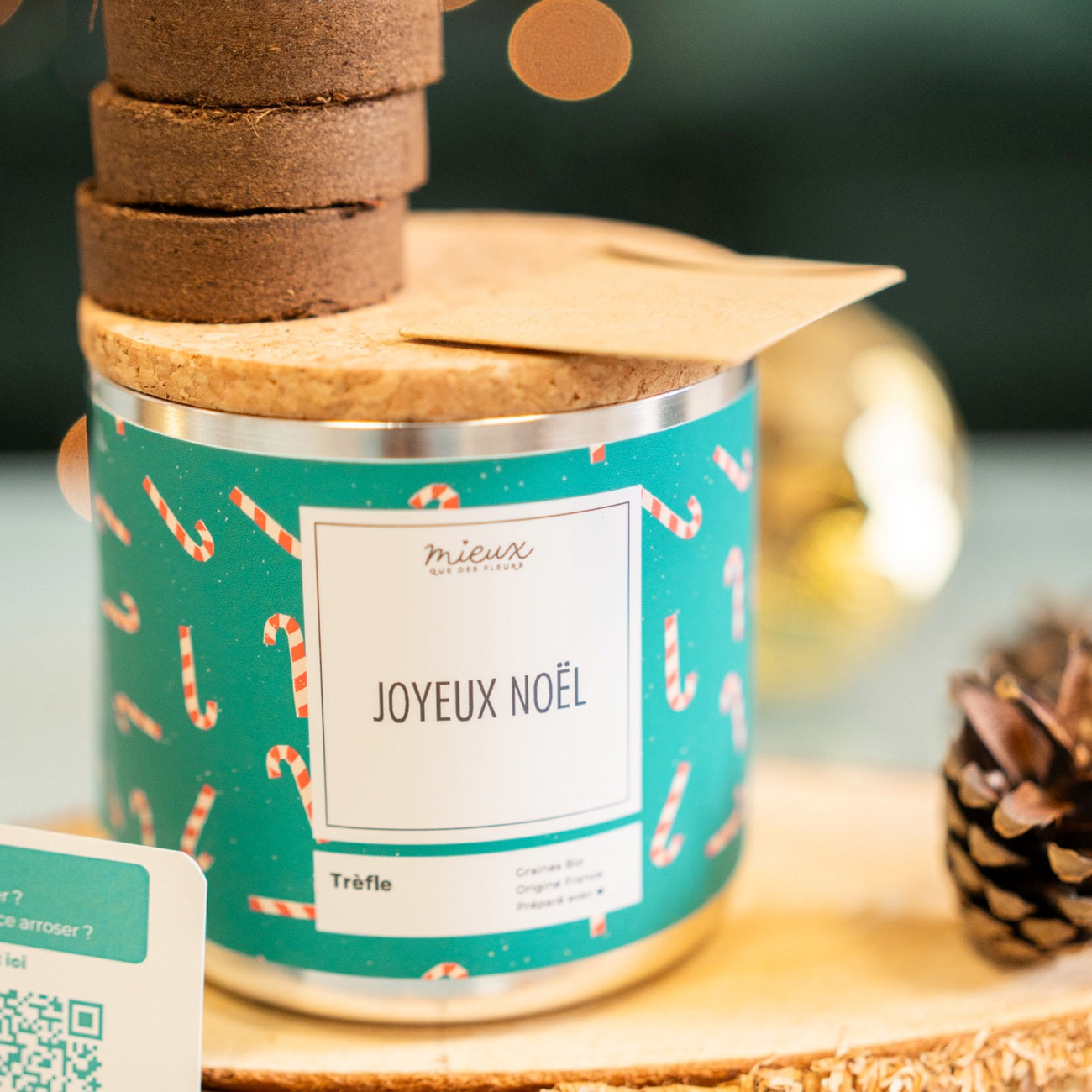 Kit à planter Joyeux Noël avec graines de trèfle en gros plan.