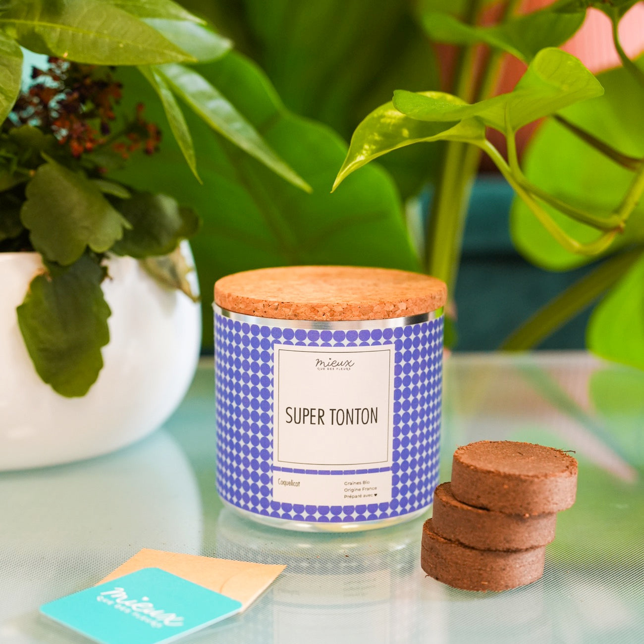 Kit à planter avec message, palets de terre et graines visibles.