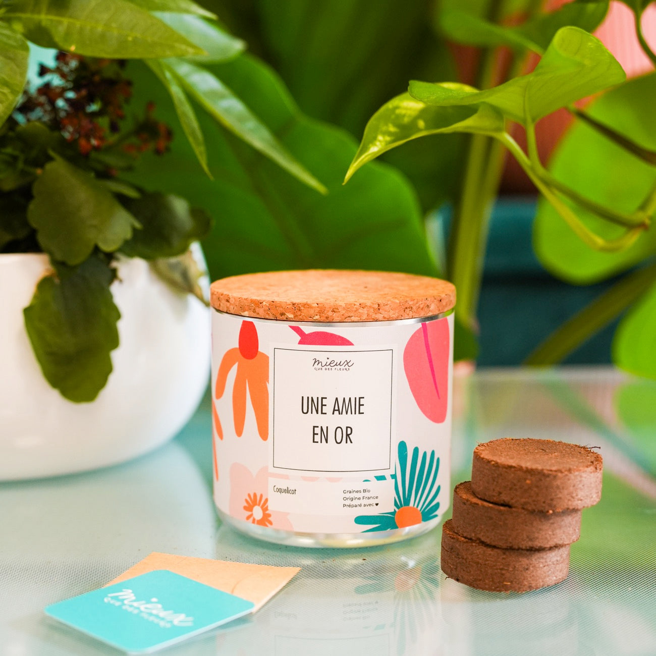 Kit à planter avec message 'Ma famille en or' en gros plan