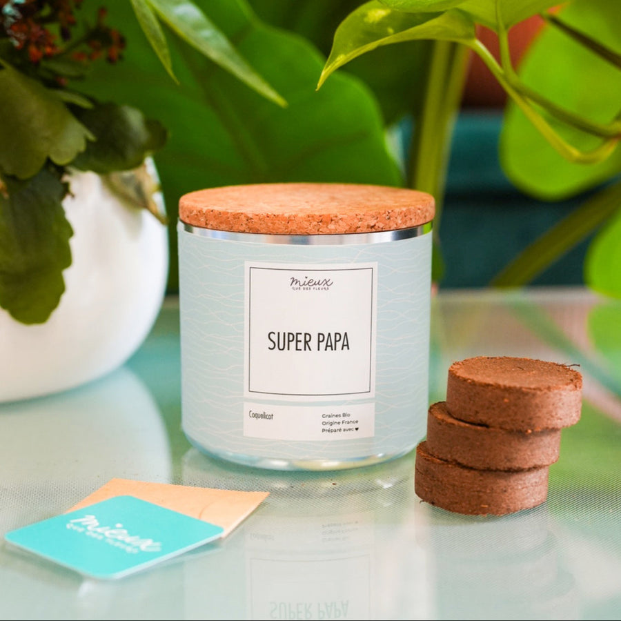 Kit à planter avec message, palets de terre et graines visibles.