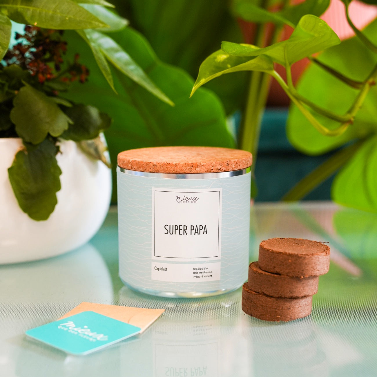 Kit à planter avec message 'Ma famille en or' en gros plan