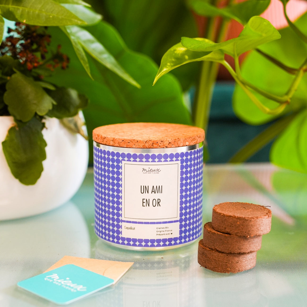 Kit à planter avec message, palets de terre et graines visibles.