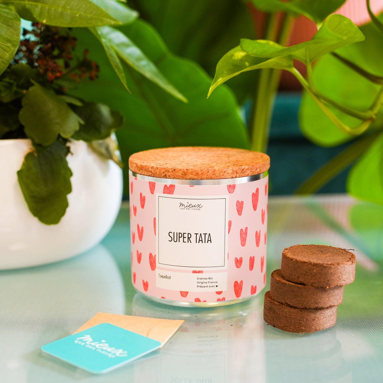 Kit à planter avec message, palets de terre et graines visibles.