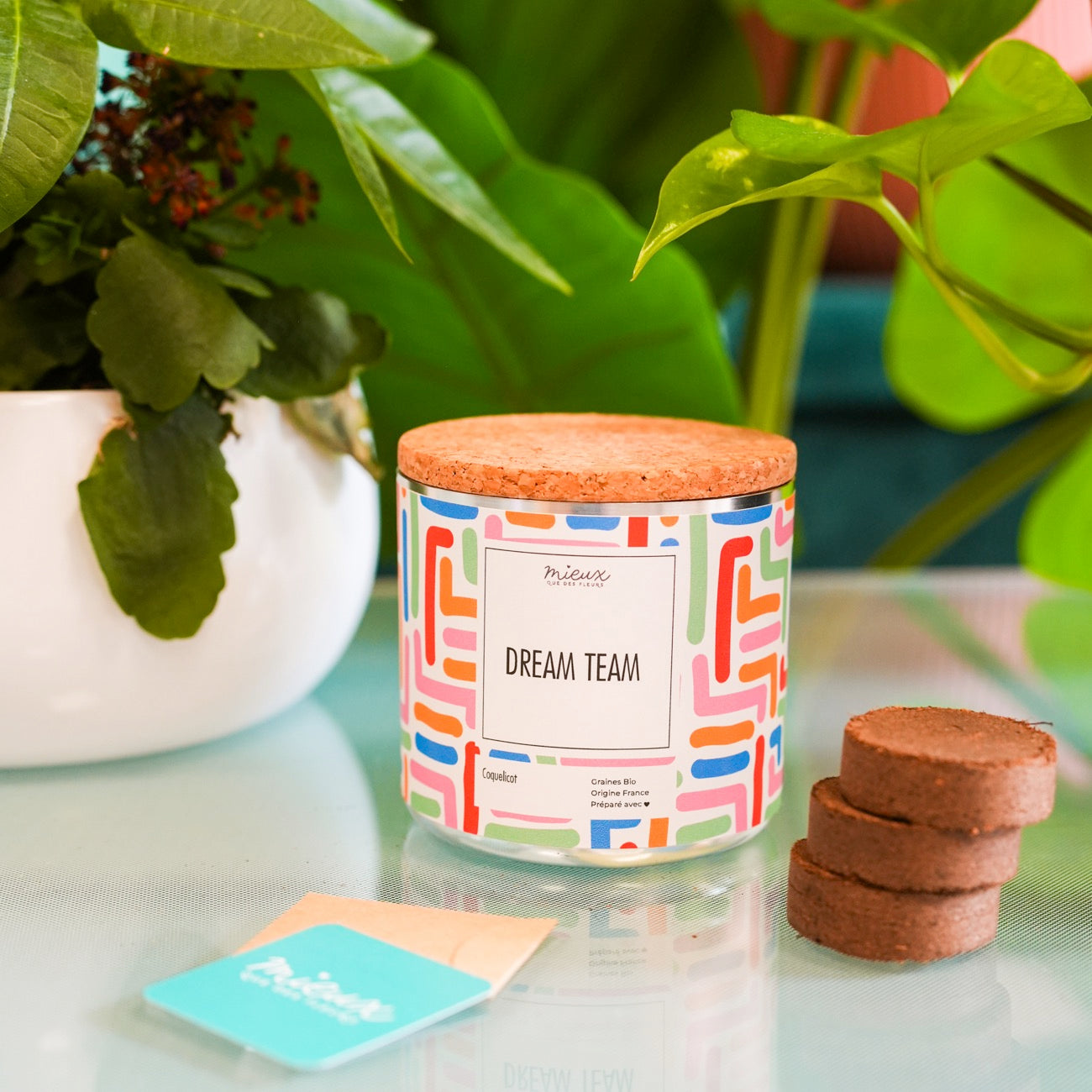 Kit à planter avec message, palets de terre et graines visibles.