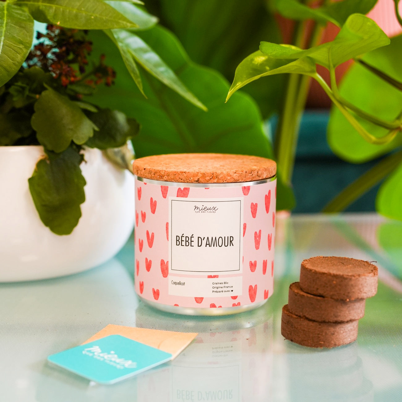 Kit à planter avec message 'Ma famille en or' en gros plan
