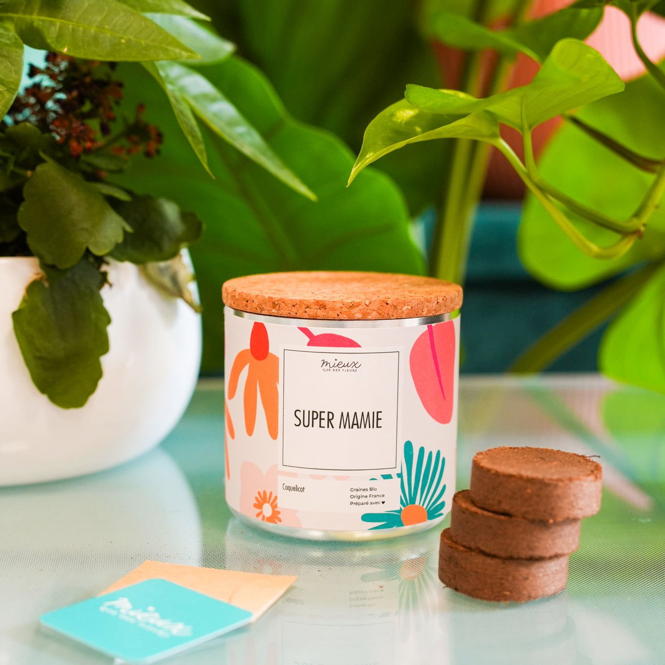 Kit à planter avec message 'Ma famille en or' en gros plan