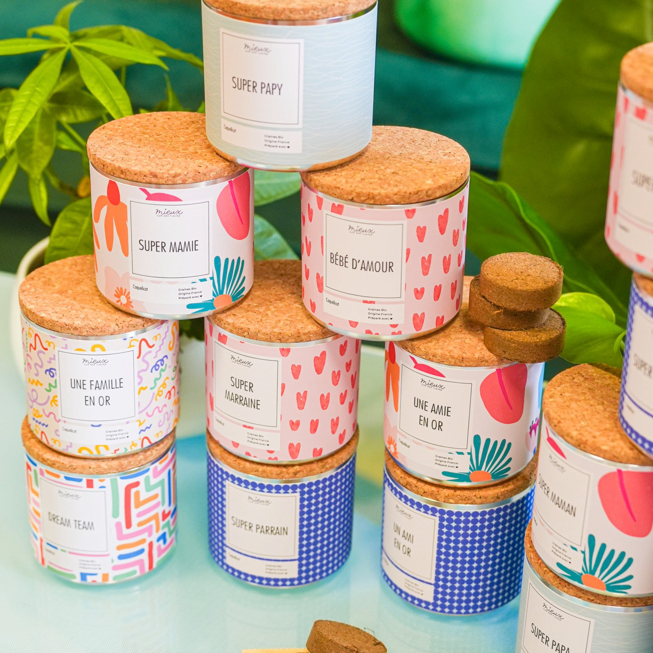 Kit à planter avec message, palets de terre et graines visibles.