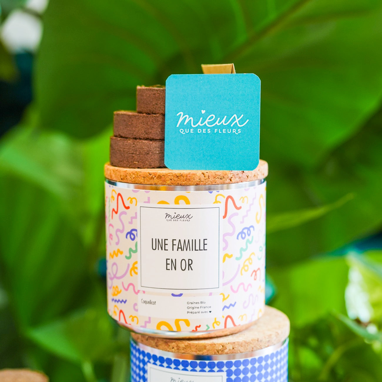 Kit à planter avec message, palets de terre et graines visibles.
