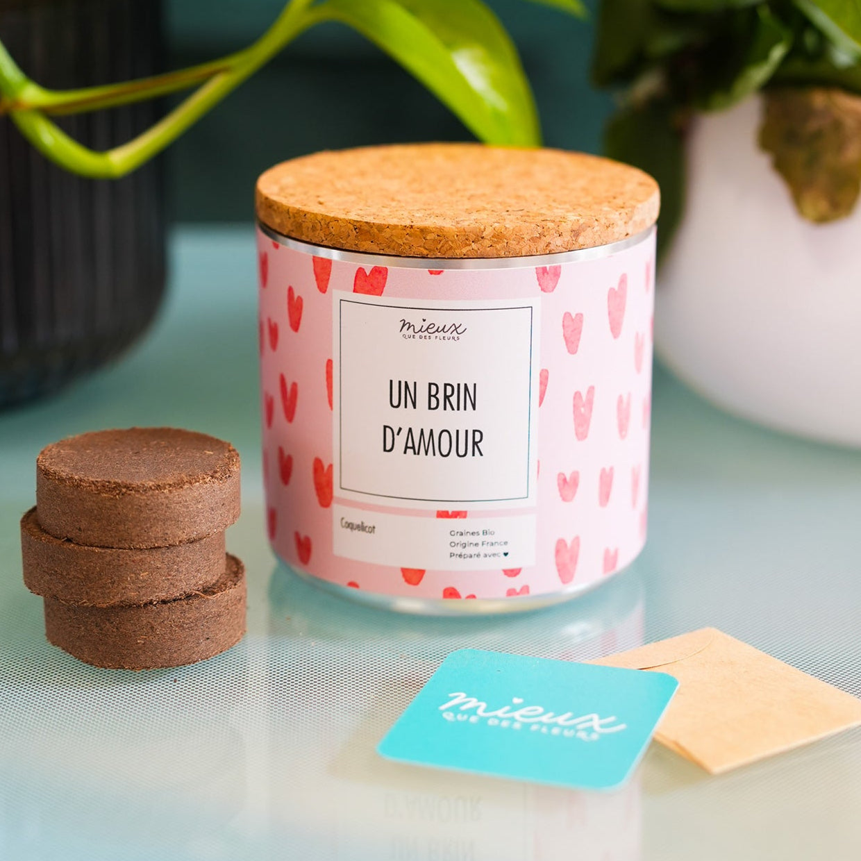 Kit à planter avec inscription sur le pot en bois naturel.