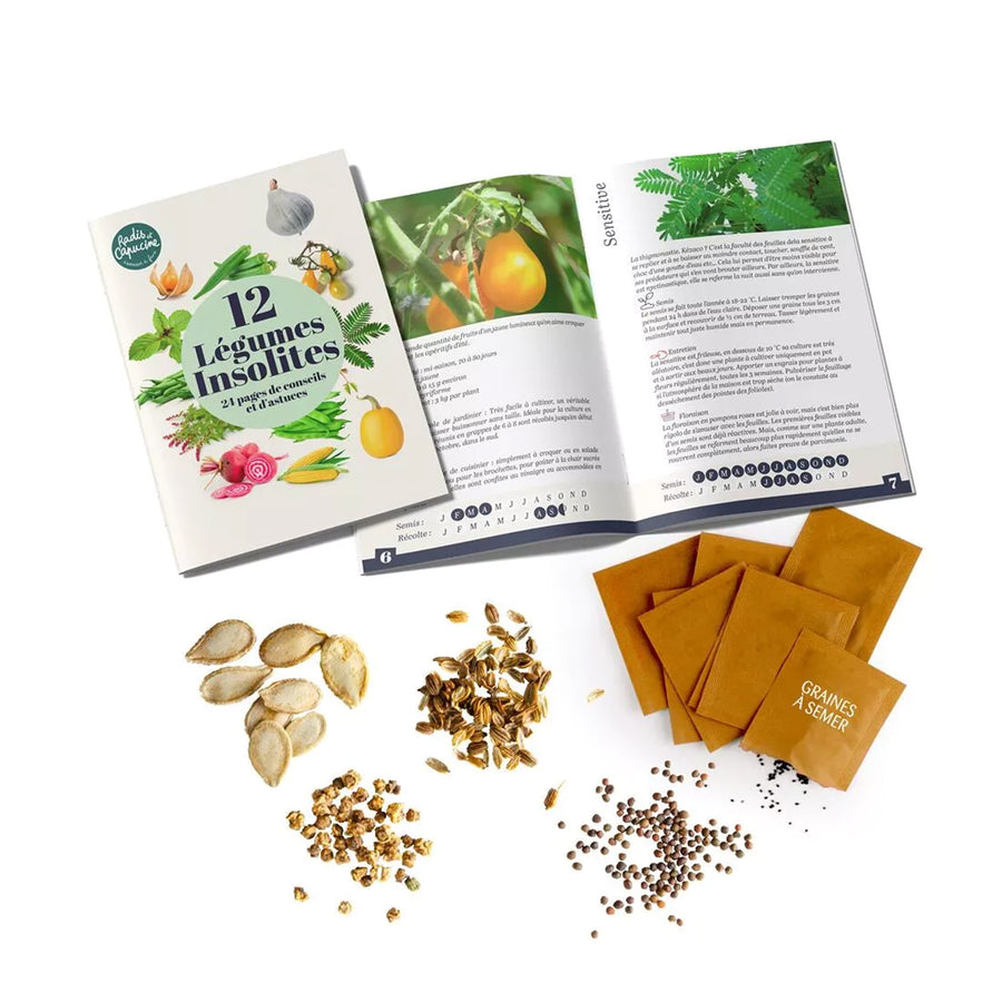 Coffret de 12 sachets de graines de légumes variés.