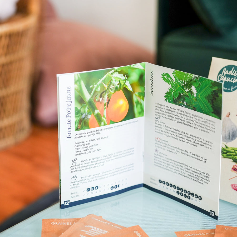 Coffret de 12 sachets de graines de légumes variés