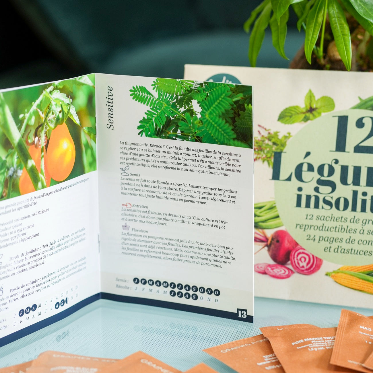 Coffret de 12 sachets de graines de légumes variés.