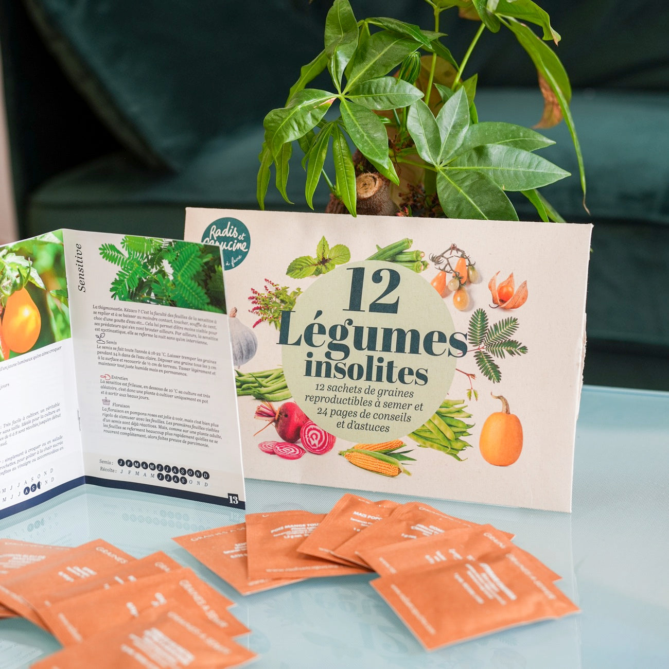 Coffret de 12 sachets de graines de légumes variés.