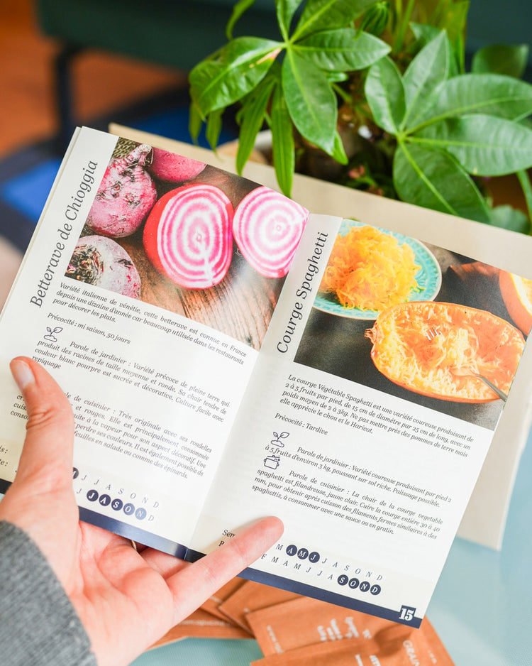 Coffret de 12 sachets de graines de légumes variés