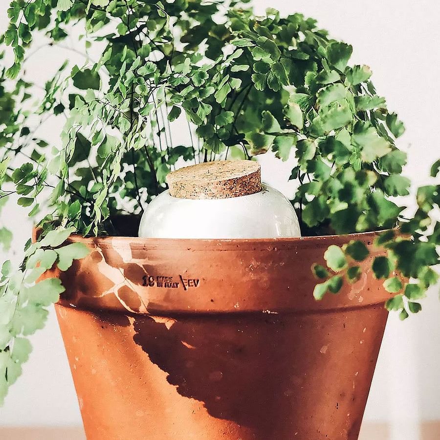 Diffuseur d'eau en terre cuite avec texture rustique