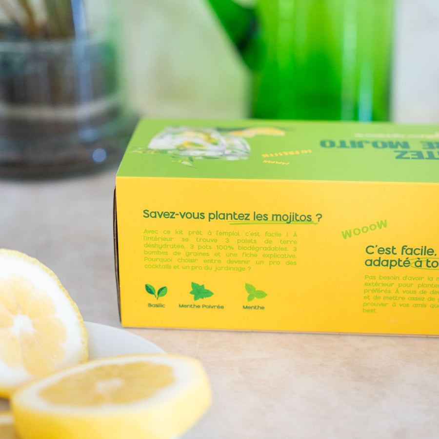 Kit de jardinage pour cultiver basilic et menthe, vue de dessus.