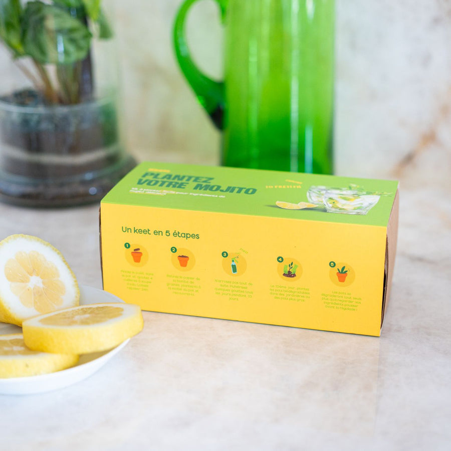 Kit de jardinage pour cultiver basilic et menthe, vue de dessus.