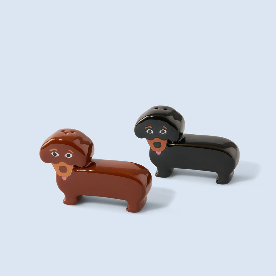 Salière et poivrière en céramique, design teckel amusant