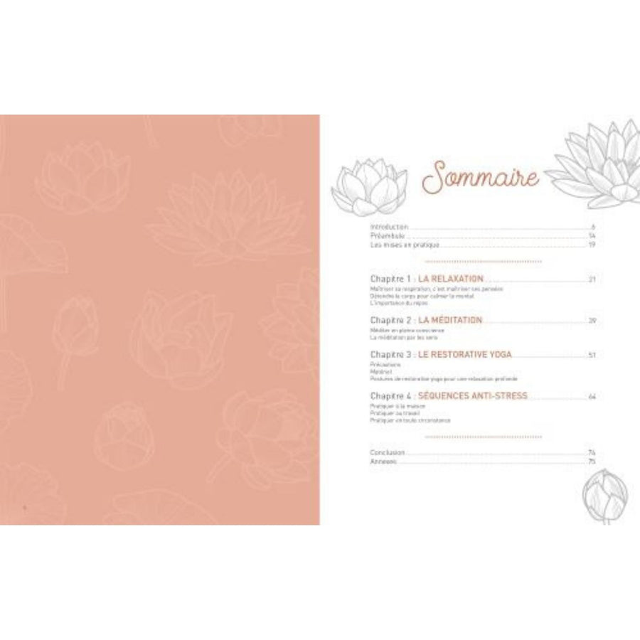 Couverture du livre sur la gestion du stress, design apaisant