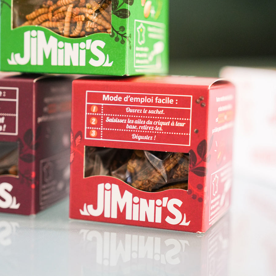 Coffret d'insectes comestibles pour apéro, vue de dessus.