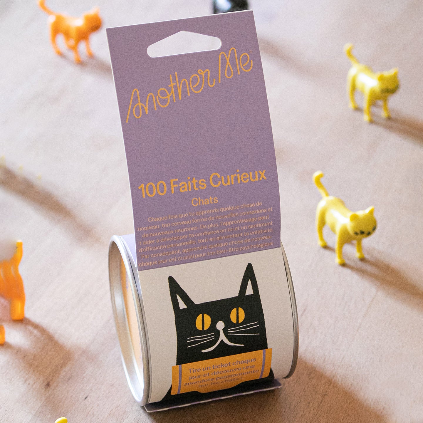 Livre '100 faits curieux sur les chats' avec couverture illustrée, sur fond blanc.